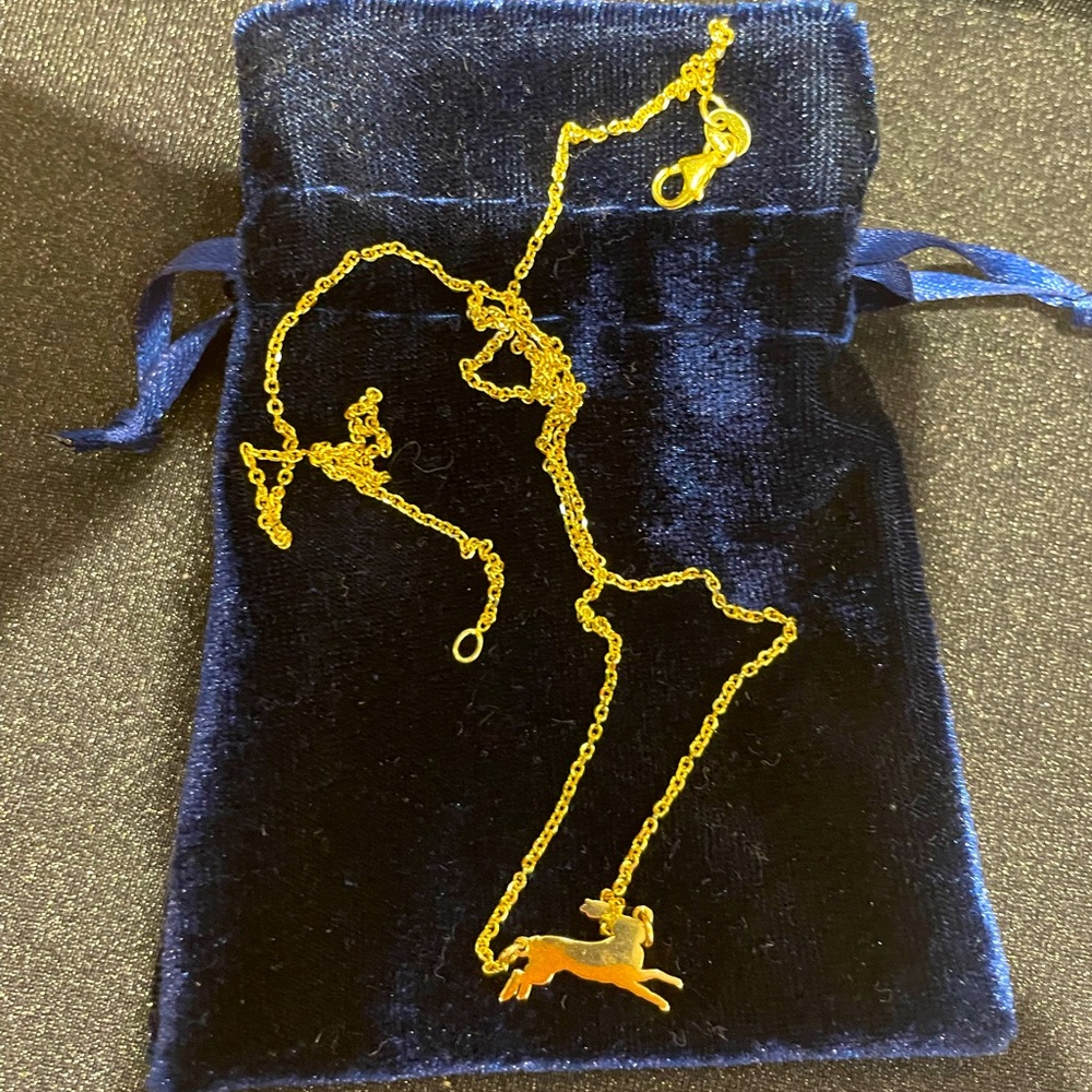 NEW Tracksmith Eliot chain